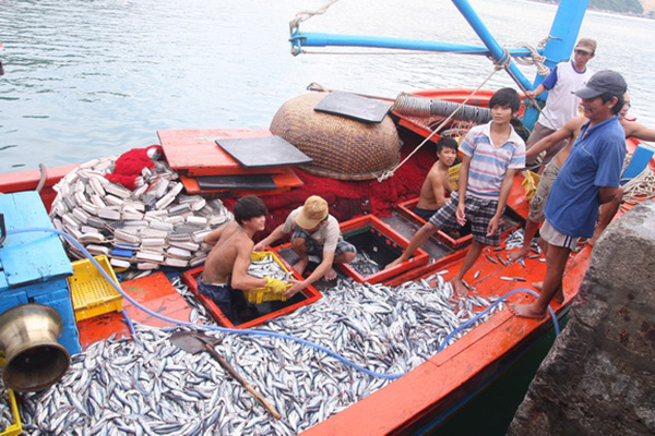 Bình Định: Sản lượng thủy sản khai thác quý I/2022 tăng 2,5% so với cùng kỳ