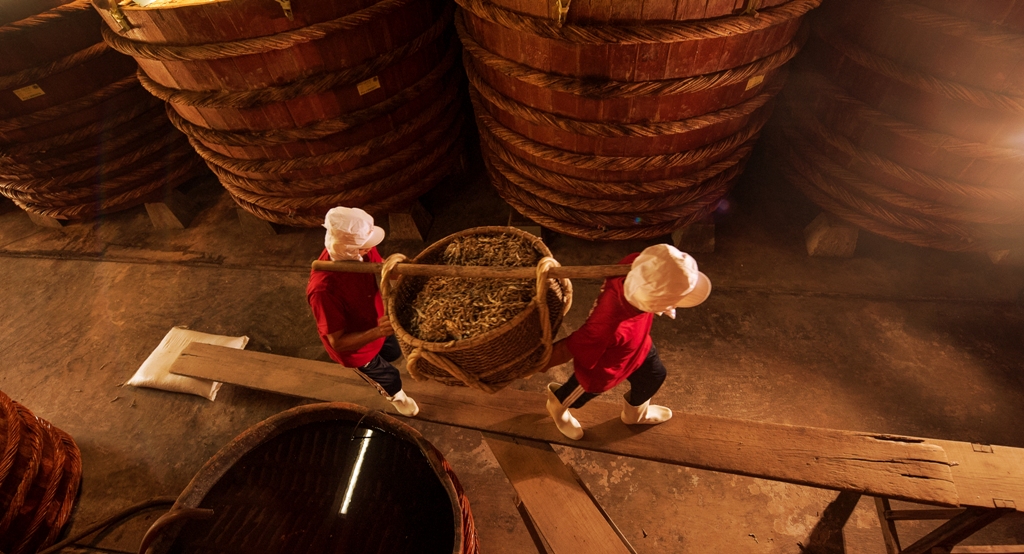 Đưa chượp cá lên thùng ủ trong nhà thùng Nước mắm Thanh Hà ở Phú Quốc Đưa chượp cá lên thùng ủ trong nhà thùng Nước mắm Thanh Hà ở Phú Quốc